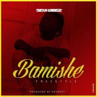 Bamishe (Freestyle) - Seyi Vibez