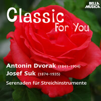 Serenade für Streichinstrumente in E-Flat Major, Op. 6: I. Andante con moto - Slowakisches Kammerorchester & Bohdan Warchal