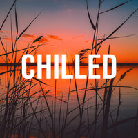 Mixed Feelings - Chill Out