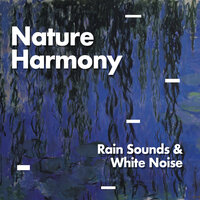 Cala Llonga - Rain Sounds & White Noise