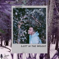 Scattered Thoughts - Forest