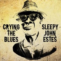 Divin' Duck Blues - Sleepy John Estes