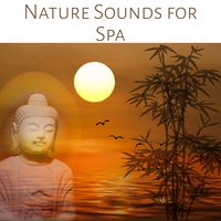 Music for Inner Peace (Sea Waves) - Pure Spa Massage Music