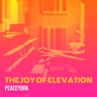 Why - Peaceyork