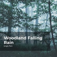 Woodland Gloomy Rain - Nature and Rain & Deep Rain Sampling & Jungle Rain