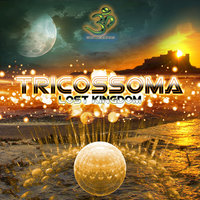 Fly with Me - Tricossoma
