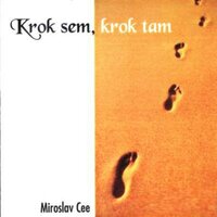 Pták v trní - Miroslav Cee