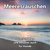 Die Träume - Entspannungsmusik & Meeresrauschen & Meeresrauschen Sounds Arno Holmberg