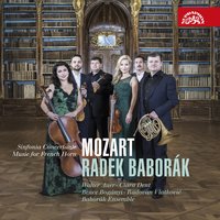Horn Concerto in E Major, K. 494a - Radek Baborak & Baborák Ensemble & Вольфганг Амадей Моцарт