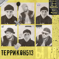 М.Ы - Террикон513