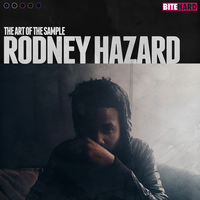 Understood - Rodney Hazard