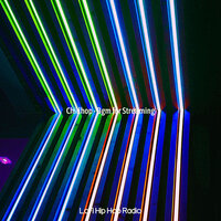 Spacious Live Streamers - lofi hip hop radio