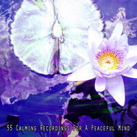 Selective Memories - Music for Reading