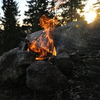 Energetic and Humid Firewood - Campfire Sounds