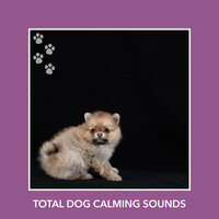 Massage Shadows - Calm My Dog