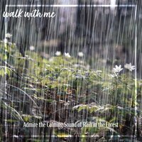 Admire the Calming Sound of Rain in the Forest, Pt. 20 - Daniel Dodik