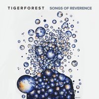 Sky on Fire - Tigerforest