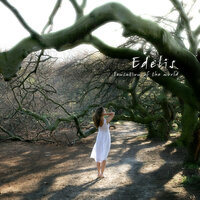 Under the dome of the Universe - Edelis