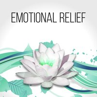 Wellness & Harmony - Gentle Instrumental Music Paradise