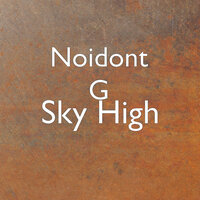 Drenched in Joy - Noidont G