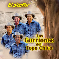 Ya lo Pagaras Con Dios - Los Gorriones Del Topo Chico
