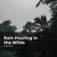 Harmonic Rain and Birds - Nature and Rain & Deep Rain Sampling & Jungle Rain