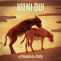 Mille meteore - Le Frequenze di Tesla
