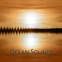 Rain Drops for Meditation - Water Music Oasis