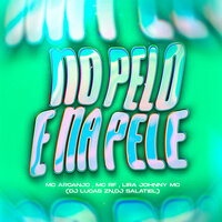 No pelo e na Pele - Mc Arcanjo & Dj Salatiel & DJ Lucas ZN & Mc Lira Jhonny & Mc Rf