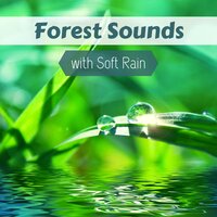 Calm Rest - Rain Umbrella