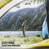 Wellness Music - deep sleep music collective & Sleeping Music Experience & Baby Music Experience