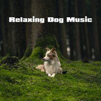 Amour, Amor & Love - Dog Music Club & Sounds Dogs Love & Soothing Dog Sounds