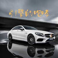 轮胎的尖叫 - 车载低音炮