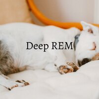 Deep REM - Sleeping Music For Dogs