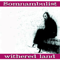 Facing the Moon - Somnambulist