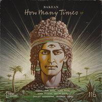 How Many Times - Bakean & Alex Twin