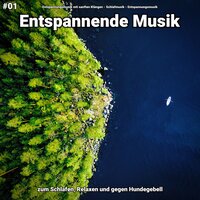 Eindrücke einfach herrlich - Entspannungsmusik mit sanften Klängen & Schlafmusik & Entspannungsmusik