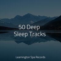 A Time for Relaxation - Zen Music Garden & Massagem Coleção de Músicas & Rainfall