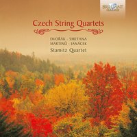 II. Allegro moderato a la Polka - Stamitz Quartet & Бедржих Сметана