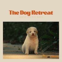 At Deep-Sea Drafts - Music for Dogs