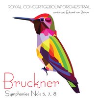 Symphony No. 8 In C Minor, WAB 108: I. Allegro moderato - Royal Concertgebouw Orchestra & Eduard van Beinum & Антон Брукнер