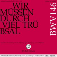 Wir müssen durch viel Trübsal, BWV 146: VIII. Choral - Freu dich sehr, o meine Seele - Orchester der J.S. Bach-Stiftung & Rudolf Lutz & Chor der J.S. Bach-Stiftung & Johann Sebastian Bach