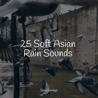 Thunder, Rains - Natureza & Relax Meditation Sleep & Sound Healing Center