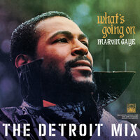 Inner City Blues (Make Me Wanna Holler) - Marvin Gaye & David Van DePitte