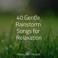 Crashing Ocean Waves - Sleep Tight & Meditation & Musica Para Dormir y Sonidos de la Naturaleza