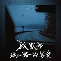 我默记这一路的苦楚 - 王一佳