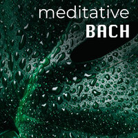  Brandenburg Concerto No.4 in G, BWV 1049 - 1. Allegro - Musica Antiqua Koln & Reinhard Goebel & Johann Sebastian Bach