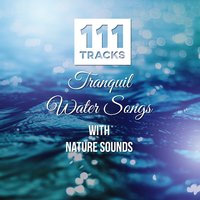 Dancing with Nature - Calm Music Zone
