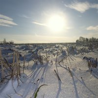 Другой, но не ты - Дмитрий Гревцев