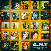 Runnin to a Check - A.N.T & SHERM G